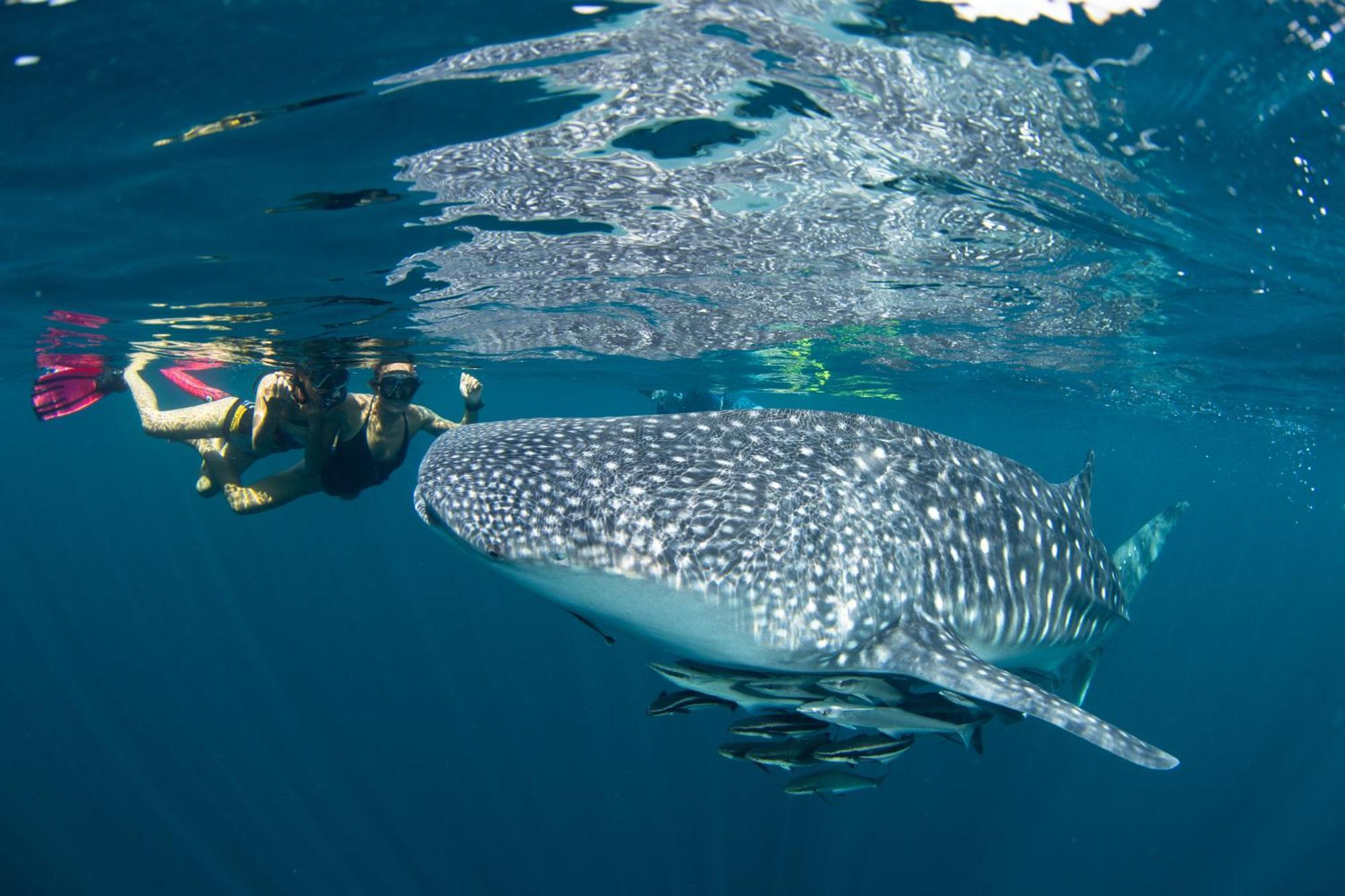 Pimalai & 5* Koh Lanta